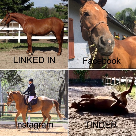 Meet your Posher, Allison - Picture 4 of 5